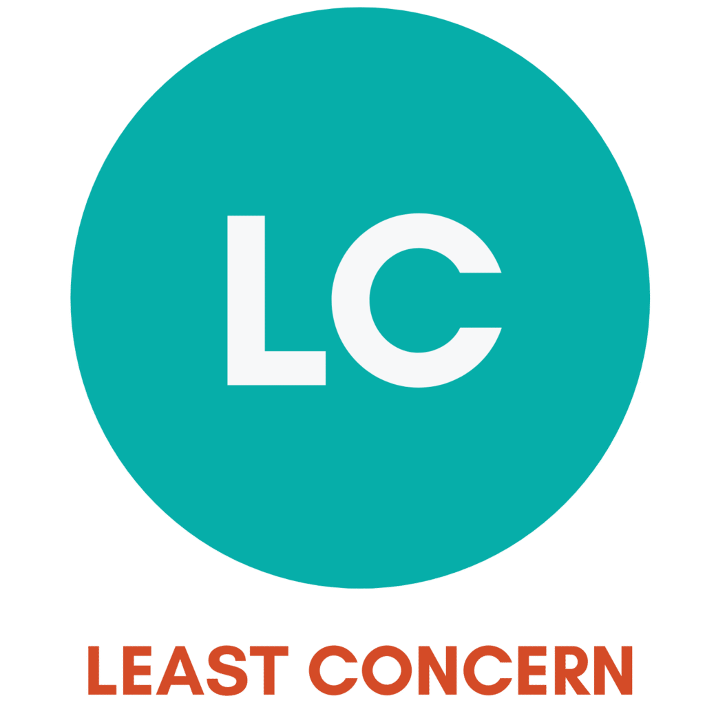 least concern